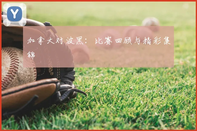 加拿大对波黑：比赛回顾与精彩集锦