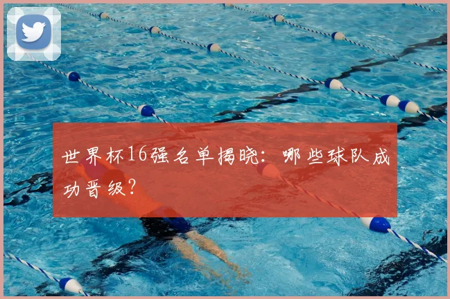 世界杯16强名单揭晓：哪些球队成功晋级？