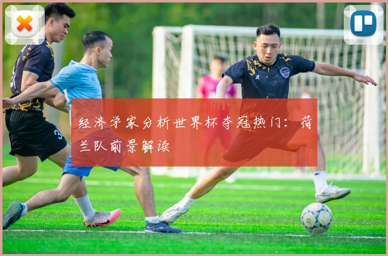 经济学家分析世界杯夺冠热门：荷兰队前景解读